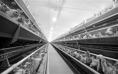 点击浏览下一页